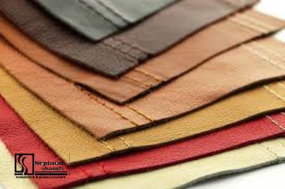 Technical, Financial feasibility study of producing leather by high-tech